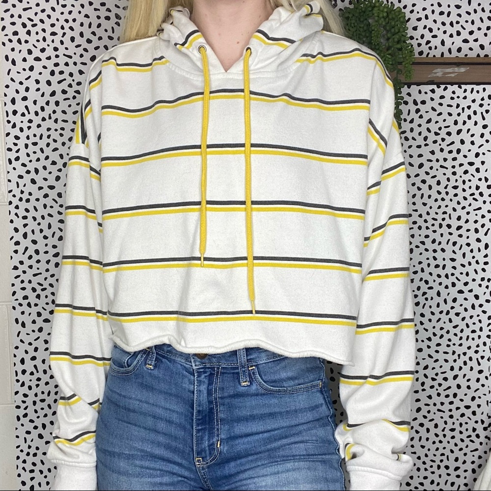 A Lab Striped Cropped Long Sleeve Hoodie